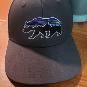 Mens trucker Patigonia Hat